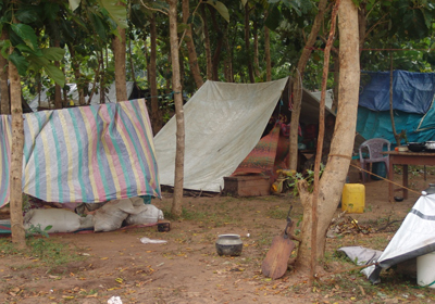 Three days old IDP shelters in Theravil